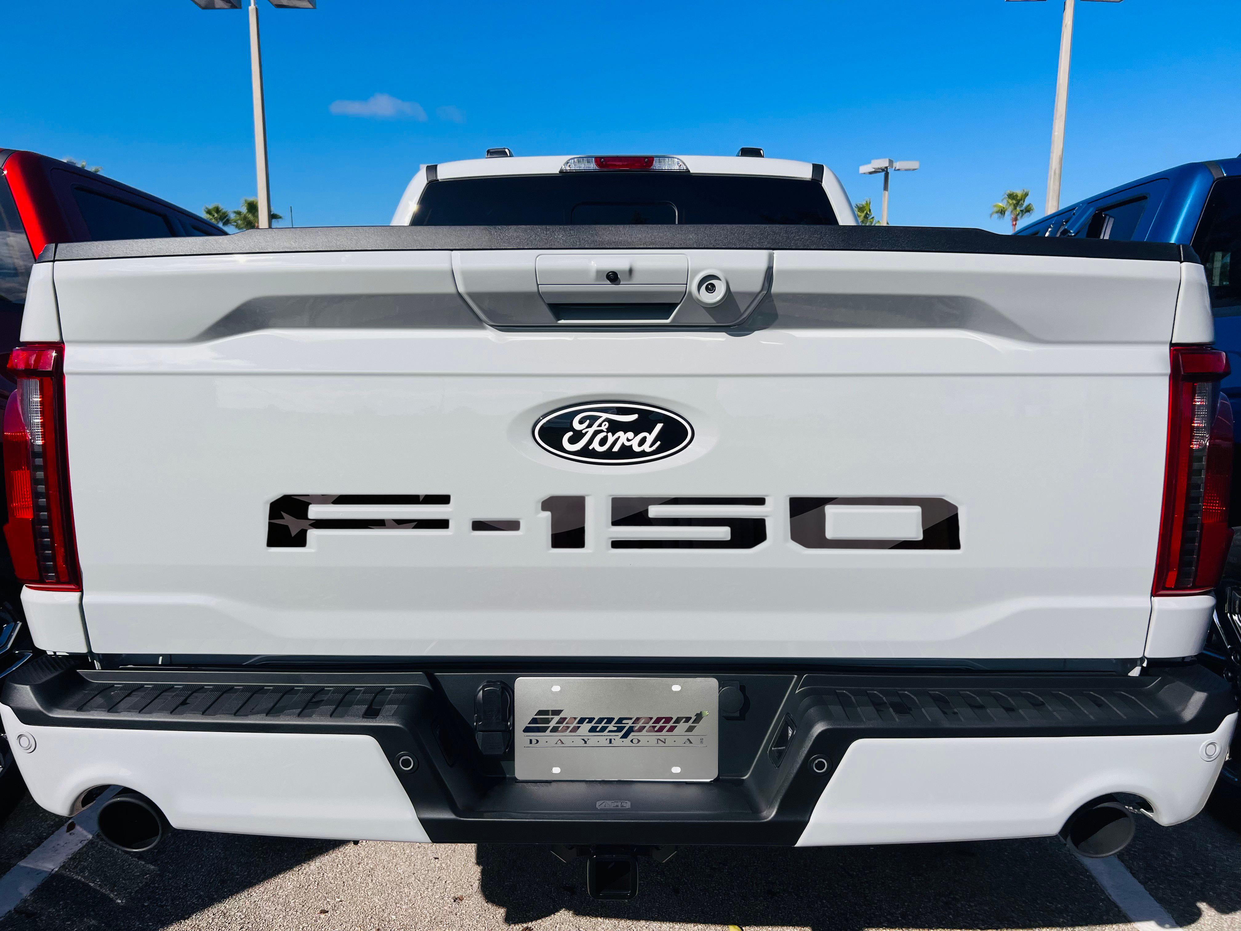2021-Curent Ford F-150 Tailgate Lettering Kit