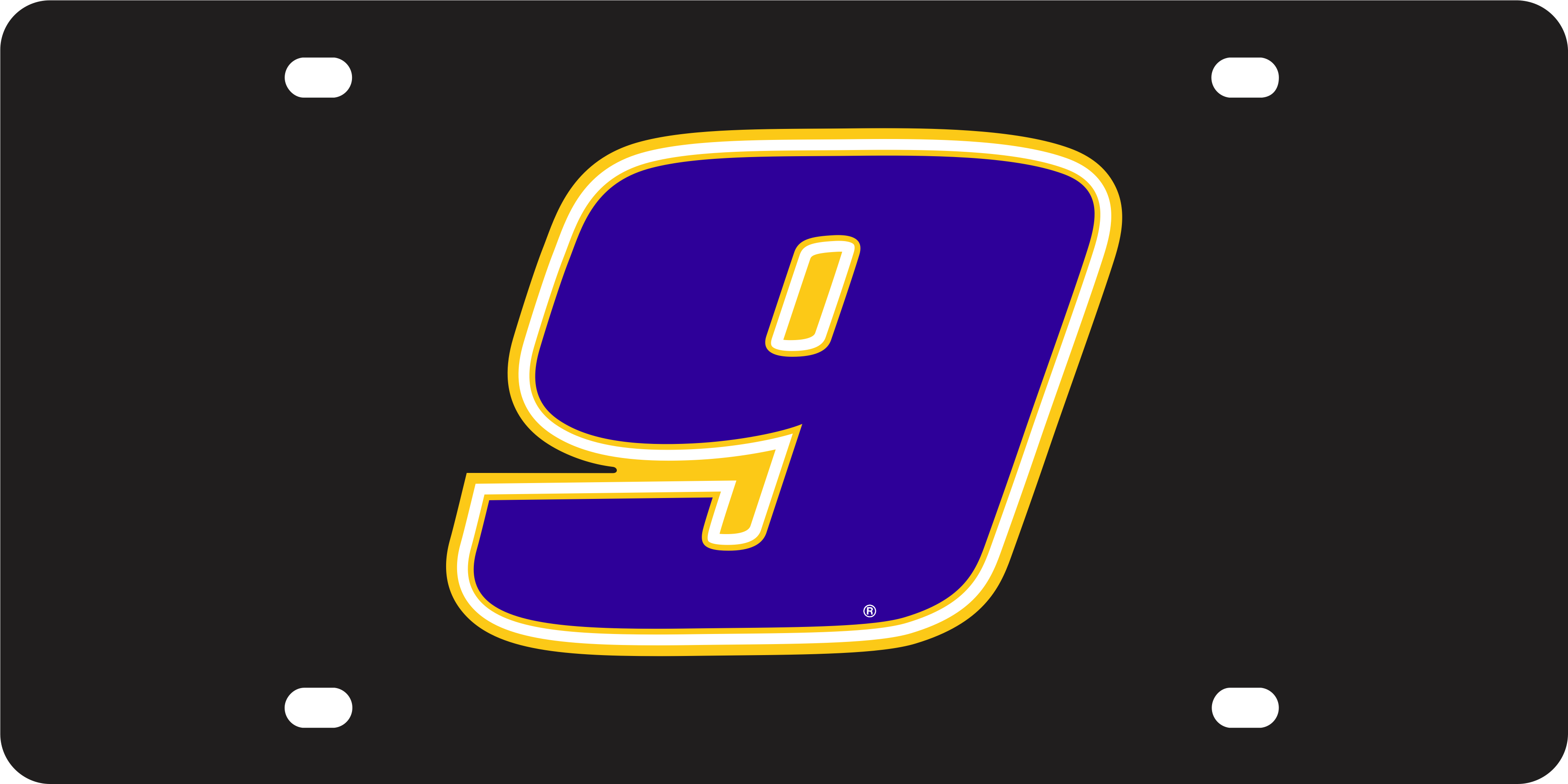 Chase Elliott NAPA # Only Acrylic License Plate