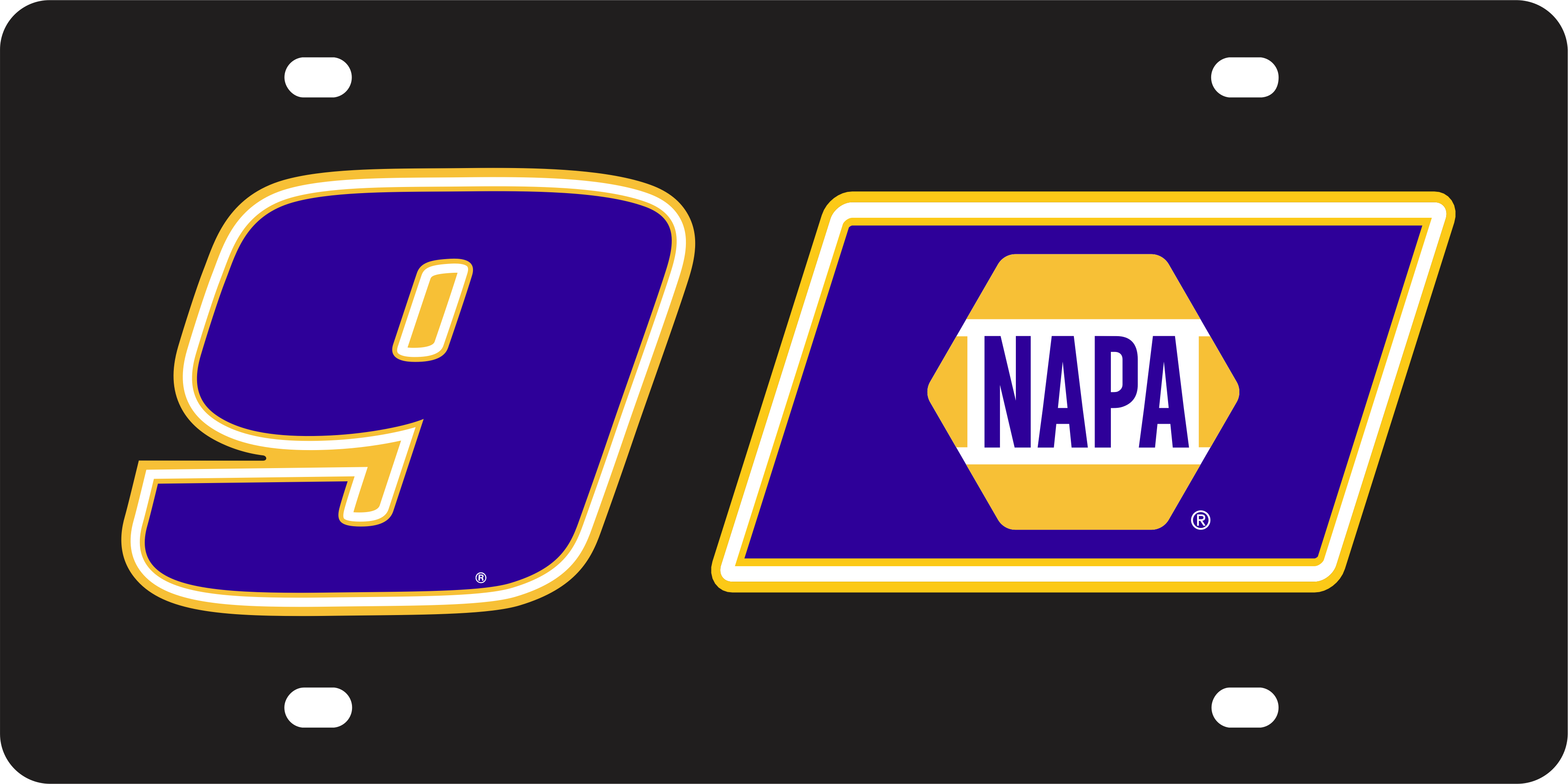 Chase Elliott NAPA # & Sponsor Acrylic License Plate