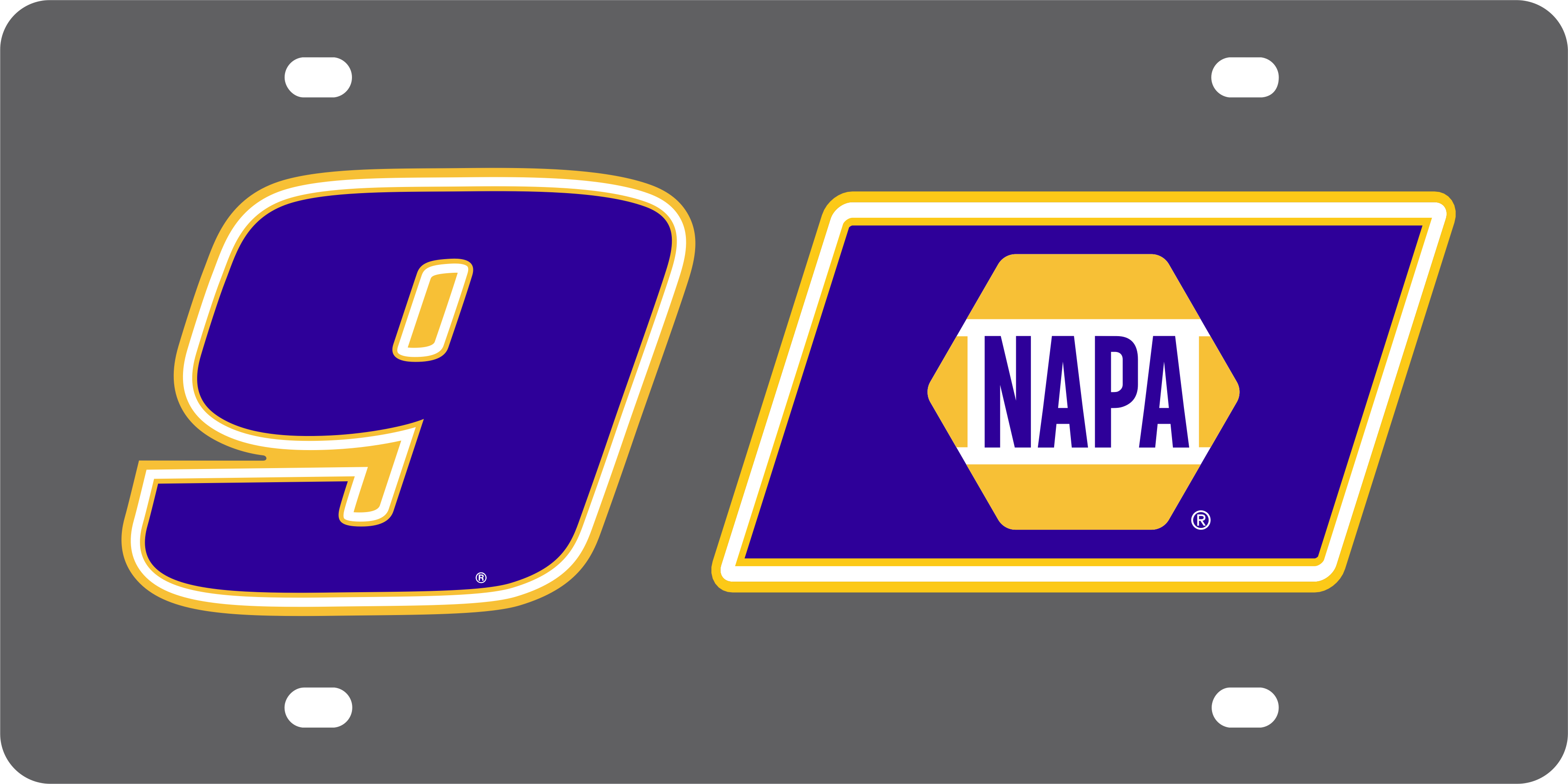 Chase Elliott NAPA # & Sponsor Carbon Steel License Plate