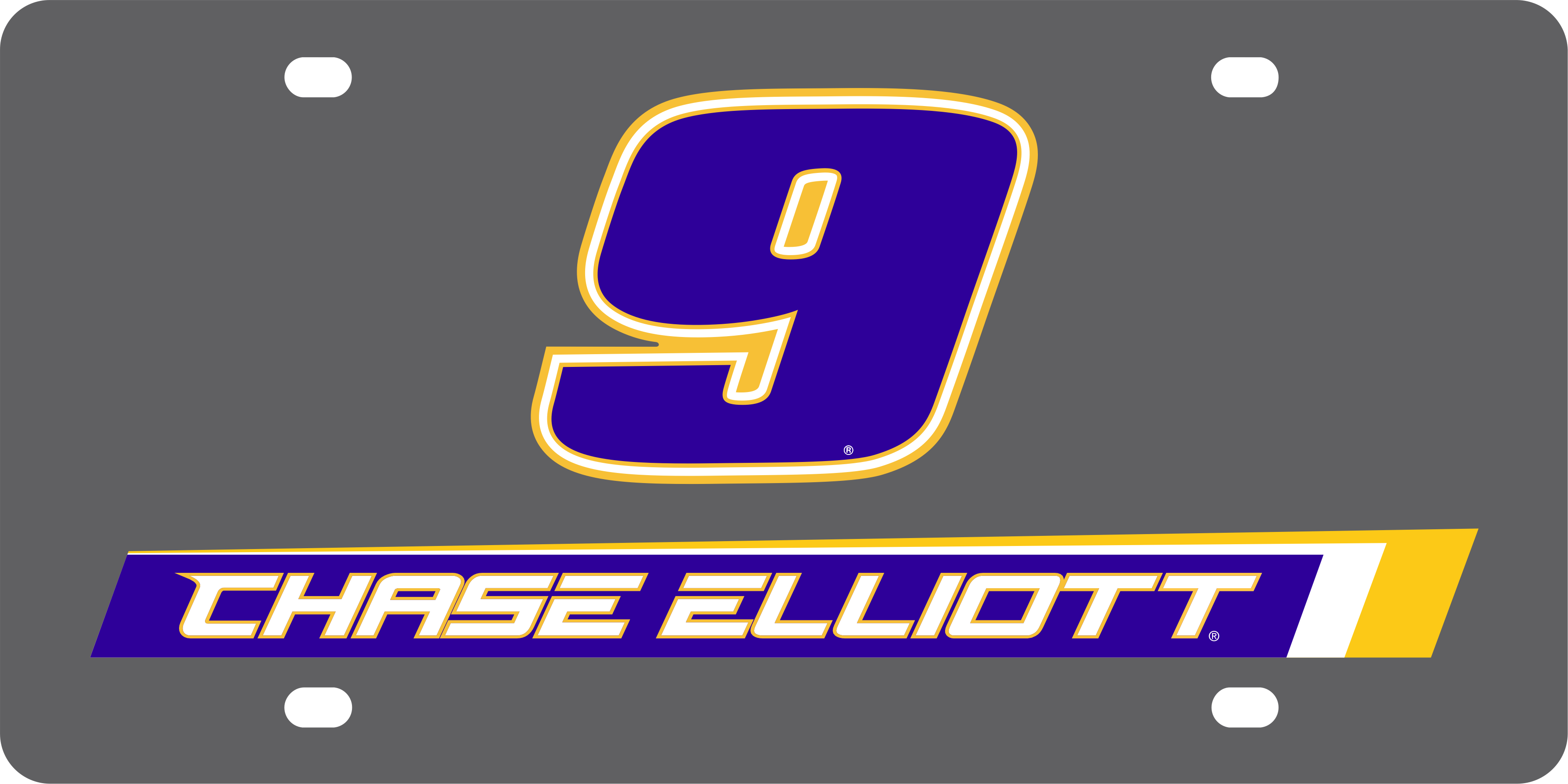 Chase Elliott NAPA # & Name Rail Carbon Steel License Plate