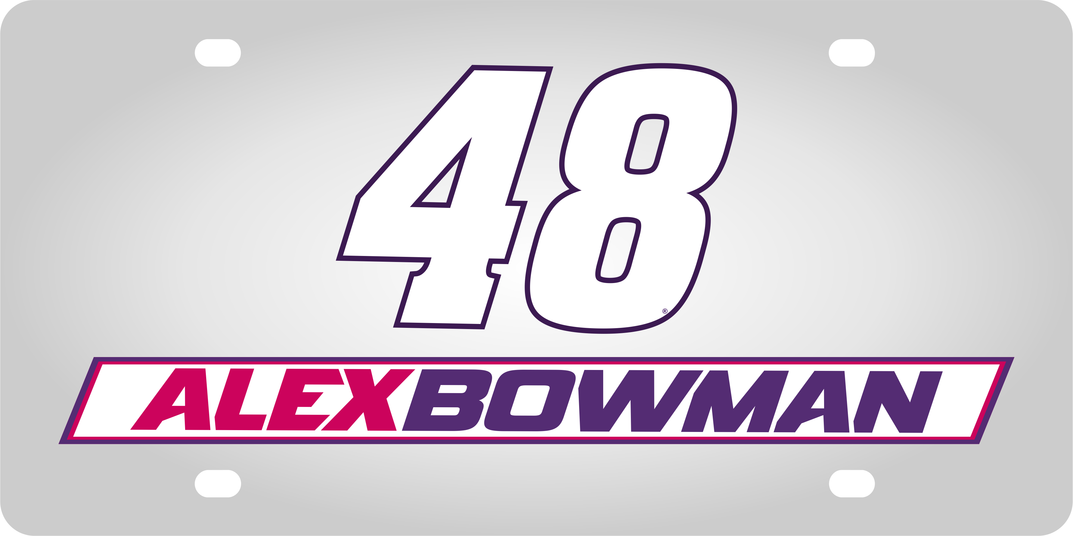 Alex Bowman Ally # & Name Rail Stainless Steel License Plate