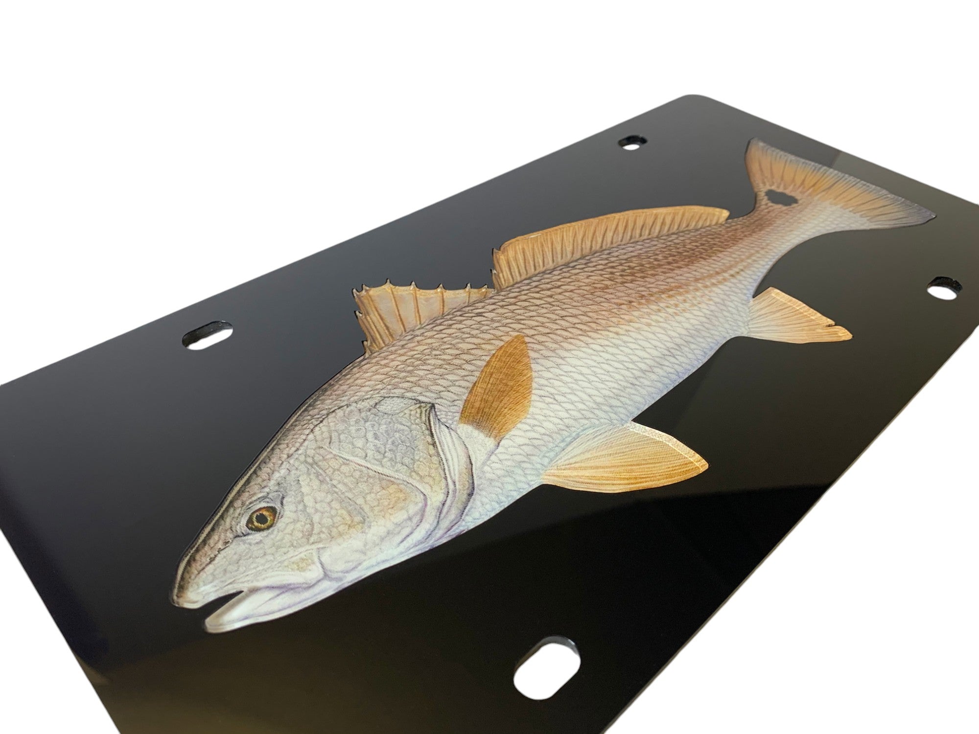 Redfish Acrylic License Plate