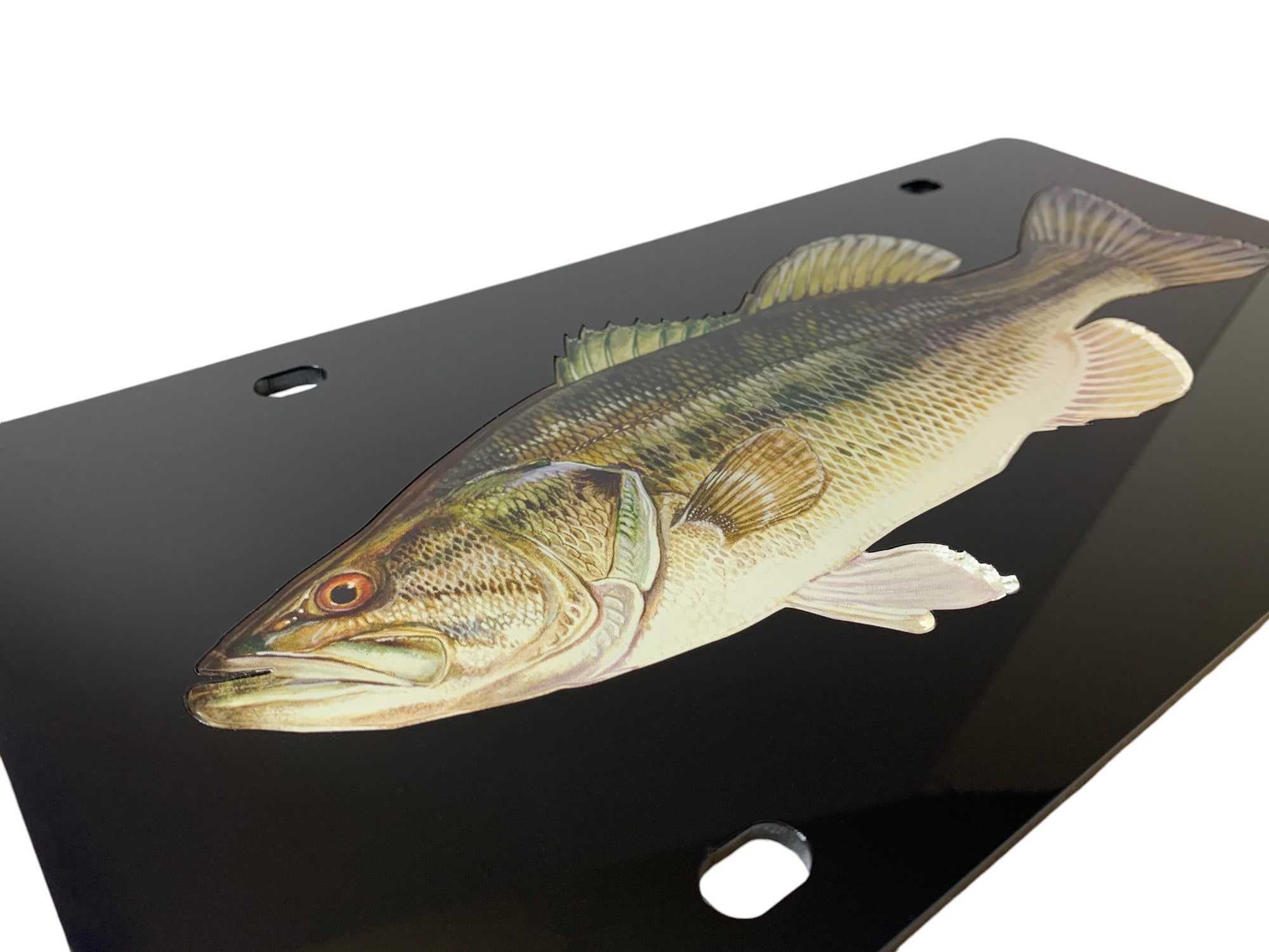 Large Mouth Bass Acrylic License Plate