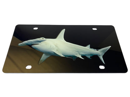 Hammerhead Acrylic License Plate