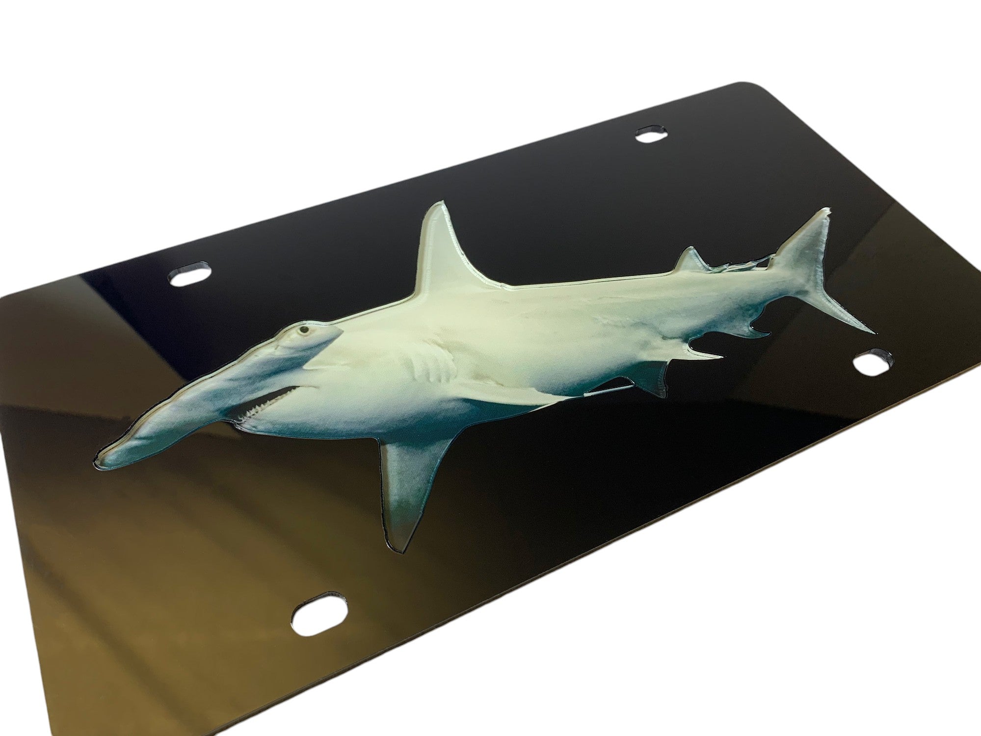 Hammerhead Acrylic License Plate