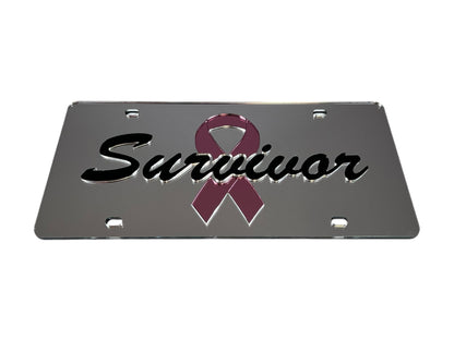 Breast Cancer Survivor Pink Ribbon Acrylic License Plate