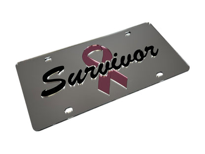 Breast Cancer Survivor Pink Ribbon Acrylic License Plate