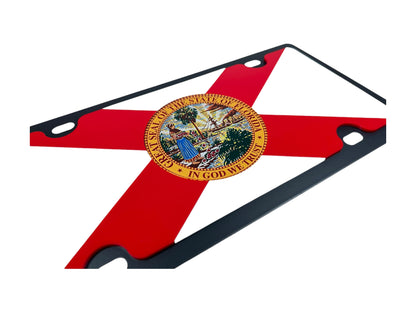 a picture of a flag of the state of florida