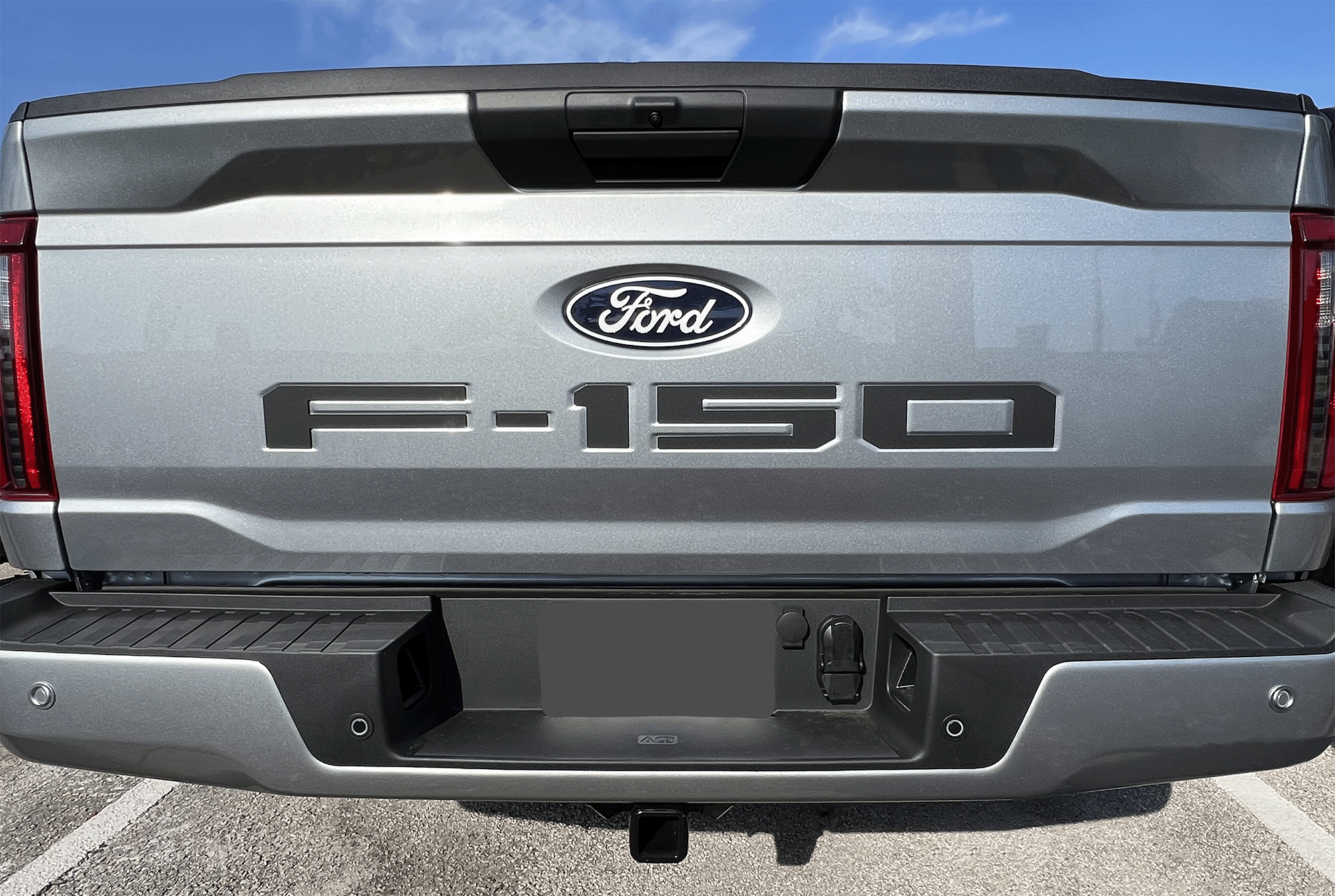 2021-Current Ford F-150 Tailgate Lettering Kit (Solid Colors)
