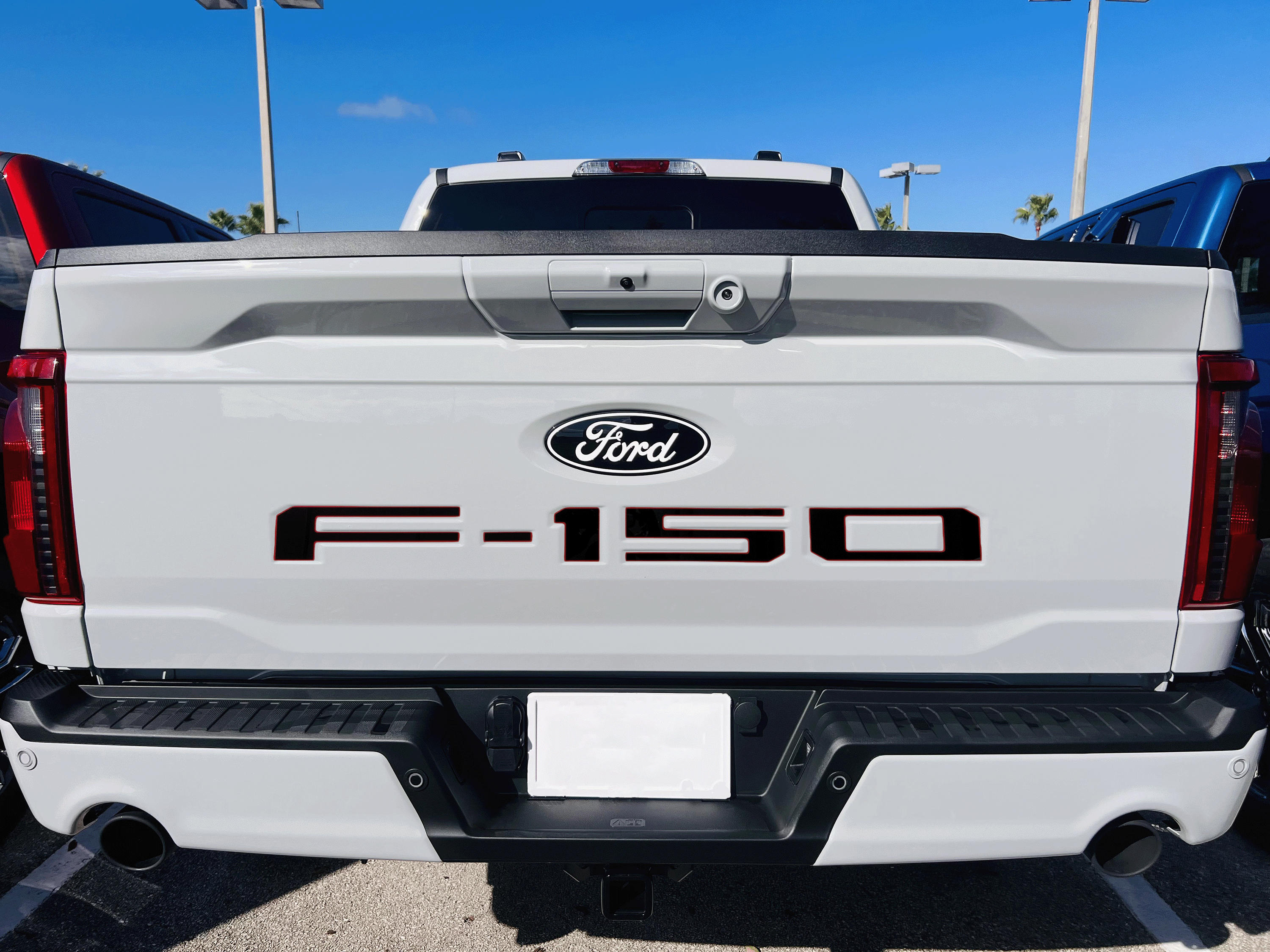 2021-Curent Ford F-150 Tailgate Lettering Kit