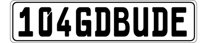 Custom Euro Plate With Custom Sizes
