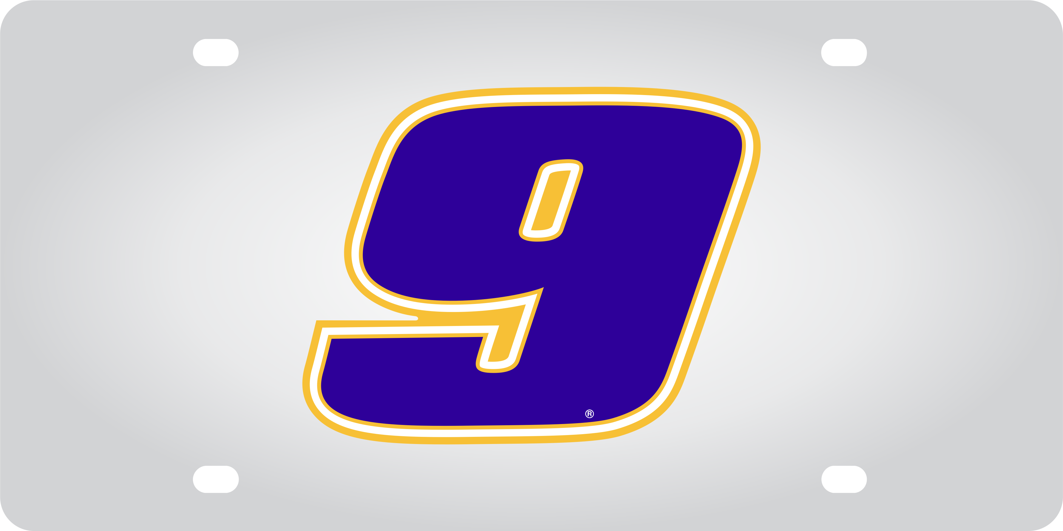 Chase Elliott NAPA # Only Stainless Steel License Plate