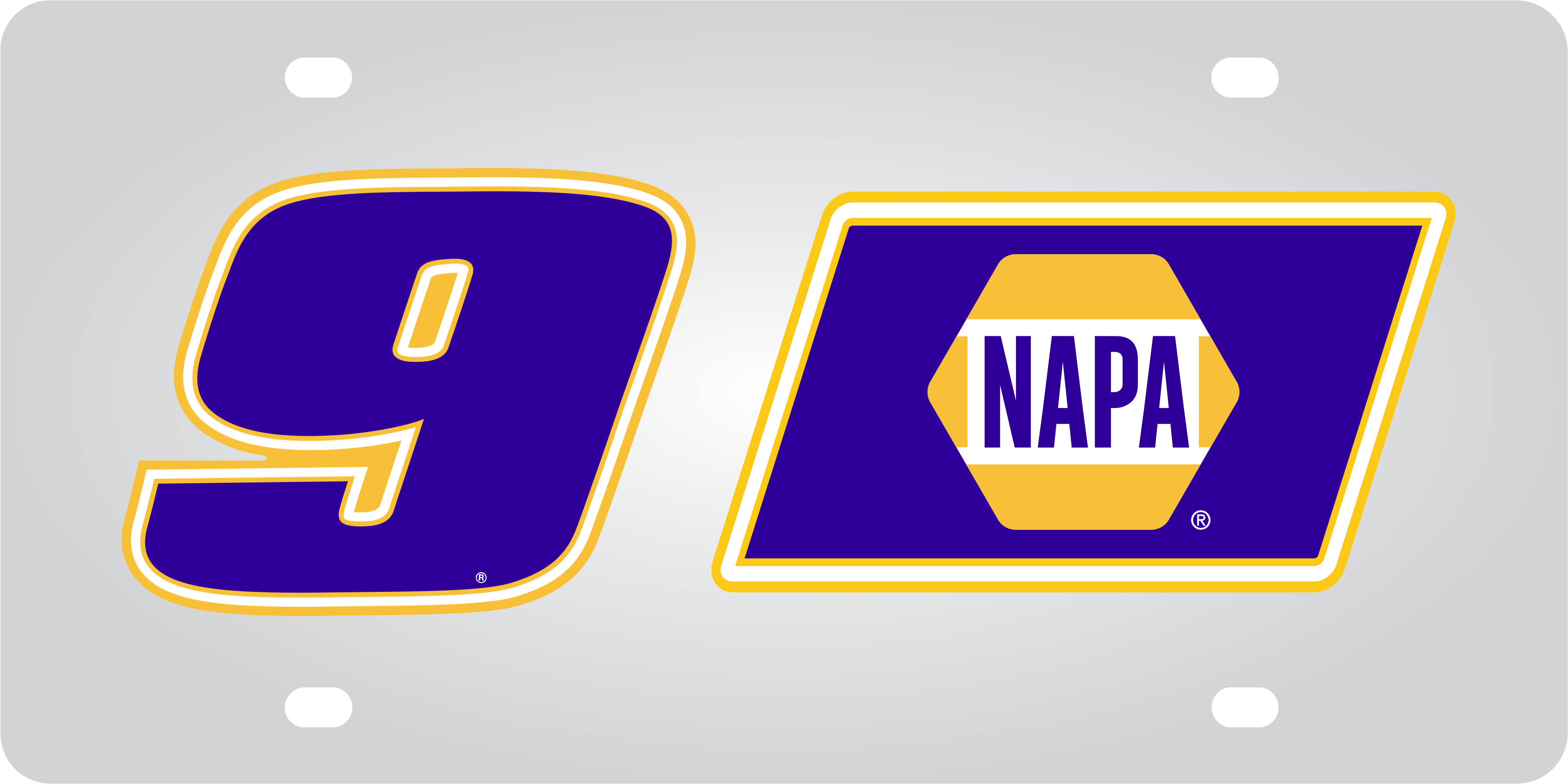 Chase Elliott NAPA # & Sponsor Stainless Steel License Plate