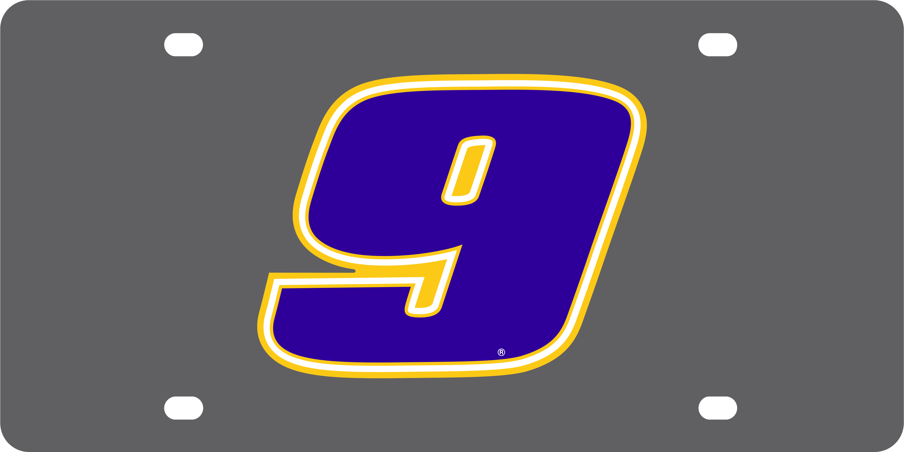 Chase Elliott NAPA # Only Carbon Steel License Plate
