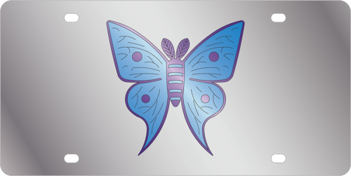 Lifestyle - SS Plate - Butterfly Multicolor