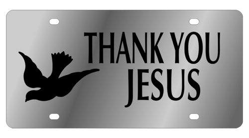 Lifestyle - SS Plate - Thank You Jesus