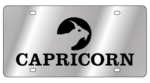 Zodiac - SS Plate - Capricorn Logo / Word